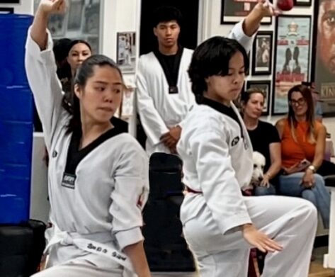 The DoJANG Taekwondo image