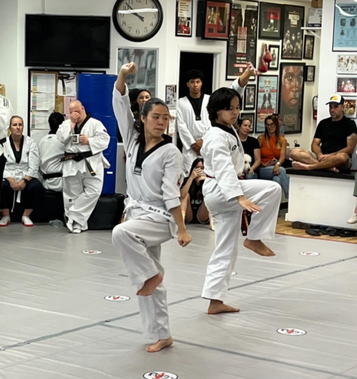 The DoJANG Taekwondo