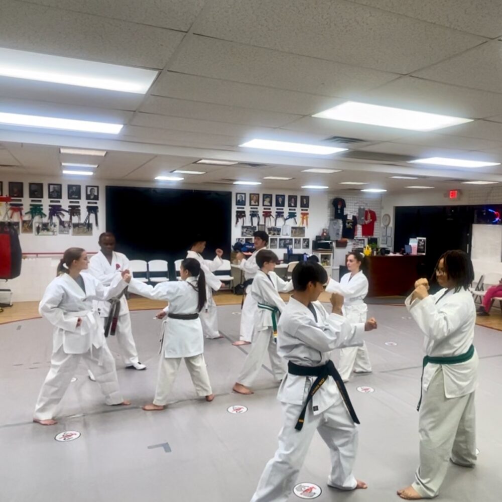 The DoJANG <span id=