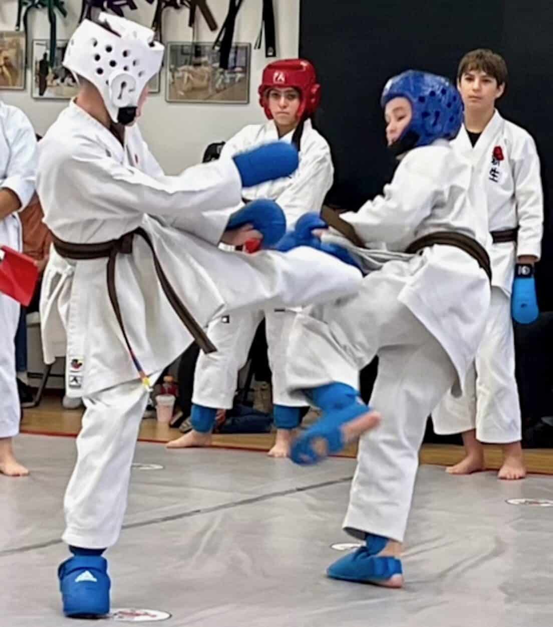 The DoJANG  Karate